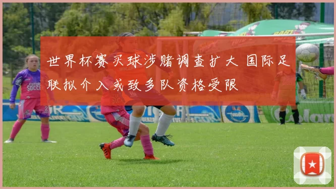 世界杯赛买球涉赌调查扩大 国际足联拟介入或致多队资格受限